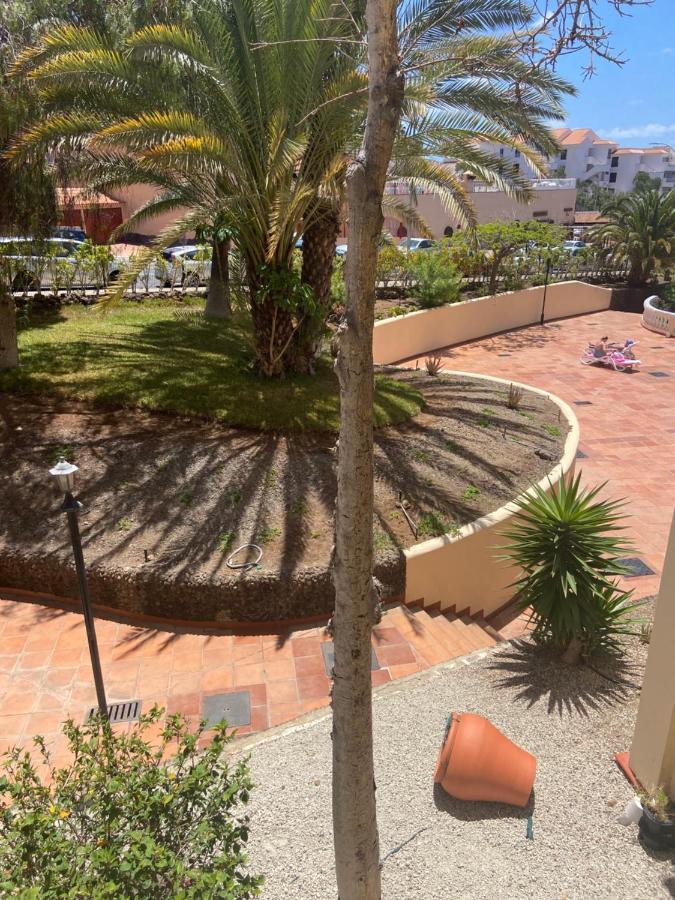 Estudio Castle Harbour 451 Lägenhet Los Cristianos  Exteriör bild